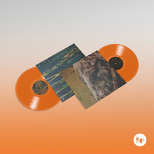 Load image into Gallery viewer, Spirit Of The Beehive - Pleasure Suck (Transparent Orange Vinyl)
