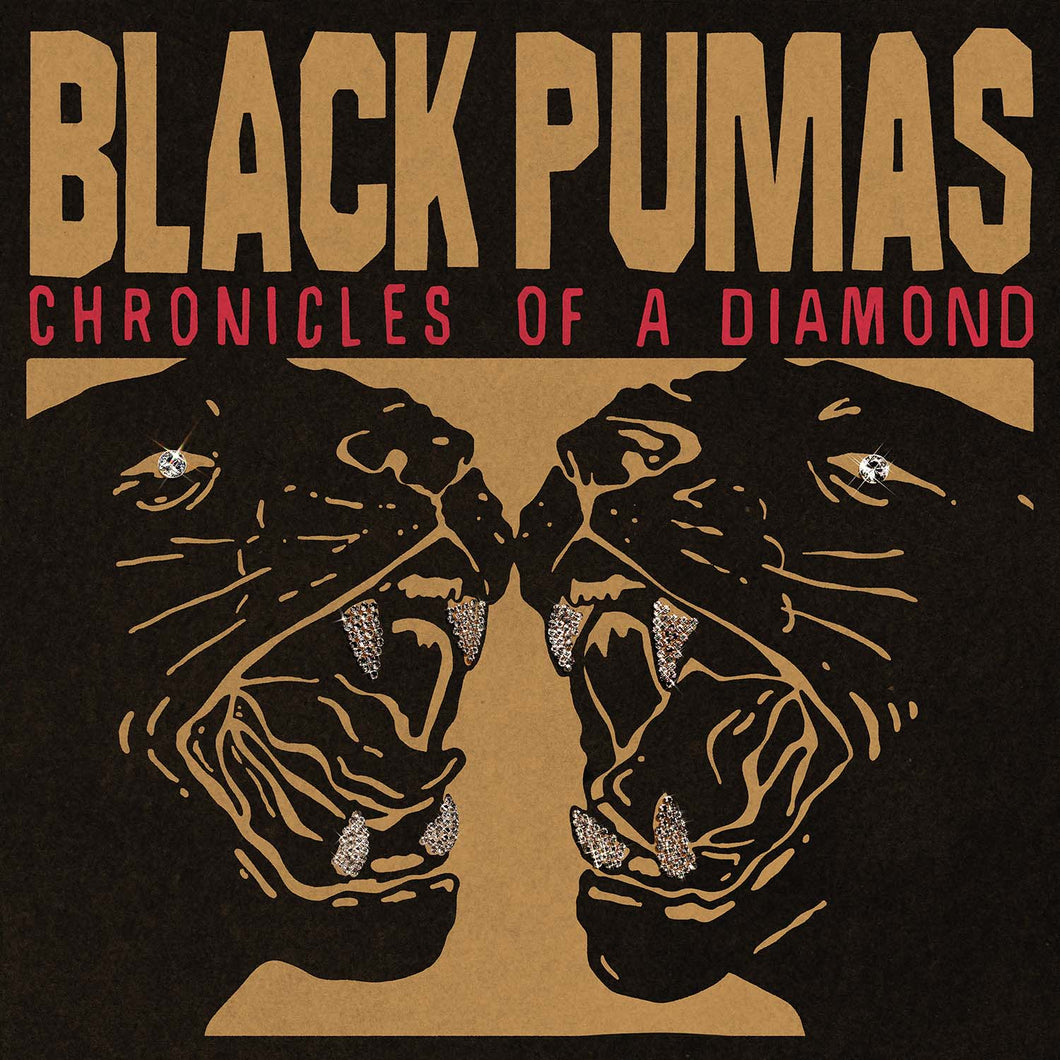 Black Pumas - Chronicles Of A Diamond (Clear Vinyl)