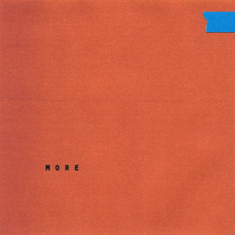 Wallows - More (RSD25 / CD)