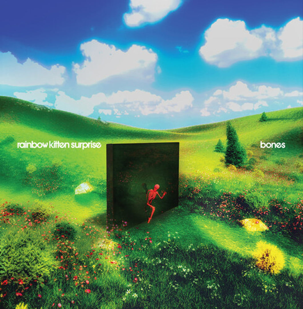 Rainbow Kitten Surprise - Bones (