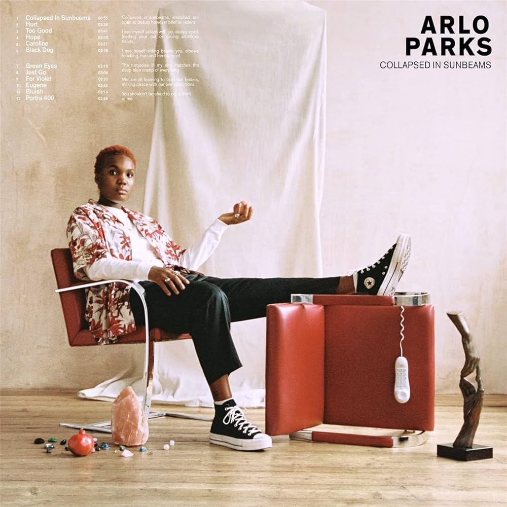 Arlo Parks - Collapsed In Sunbeams (Picture Disc)