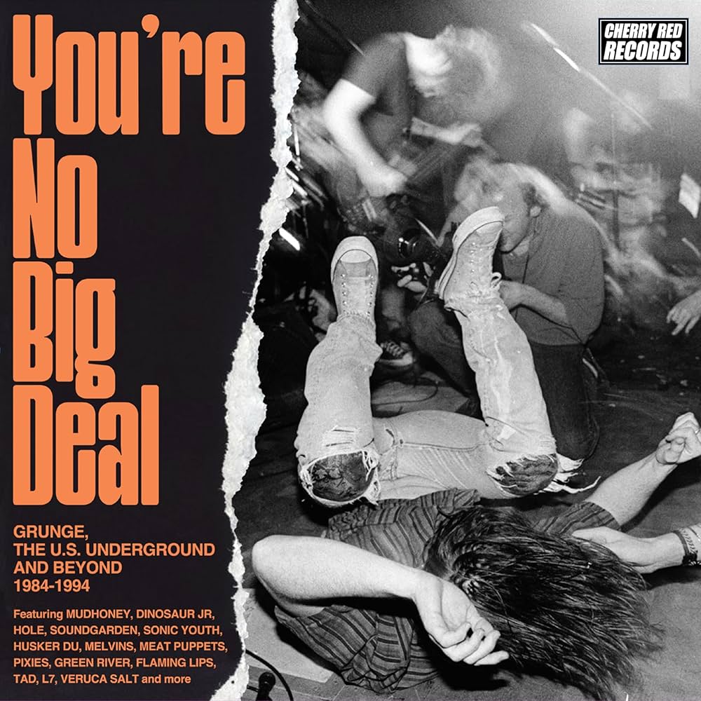 Various Artists - You're No Big Deal: Grunge, The U.S. Underground & Beyond, 1984-1994 (4 CD Box Set)