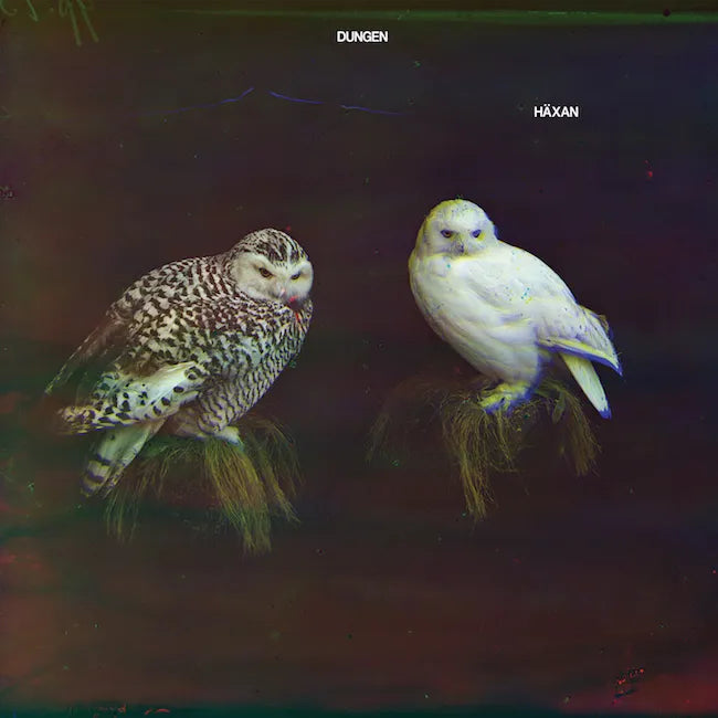 Dungen - Häxan (Limited Edition White Vinyl)