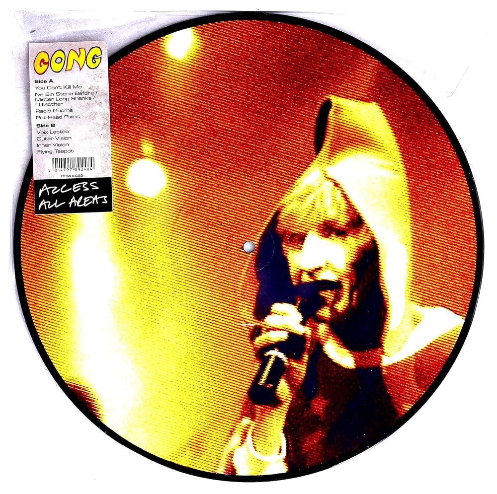 Gong - Access All Areas (Picture Disc)