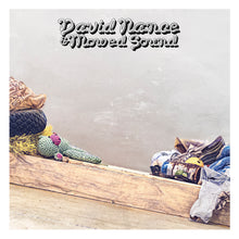 Load image into Gallery viewer, David Nance &amp; Mowed Sound - David Nance &amp; Mowed Sound (Grass Green Vinyl)
