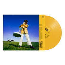 Load image into Gallery viewer, Declan McKenna - What Happened To The Beach? (Yellow Vinyl)
