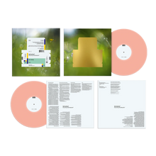 Load image into Gallery viewer, Spiritualized - Everything Was Beautiful (Pink Vinyl Deluxe Edition)
