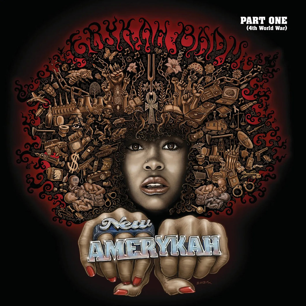 Erykah Badu - New Amerykah, Part One: 4th World War