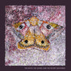 Secret Machines - The Moth, The Lizard, & The Secret Machines (Colored Vinyl)