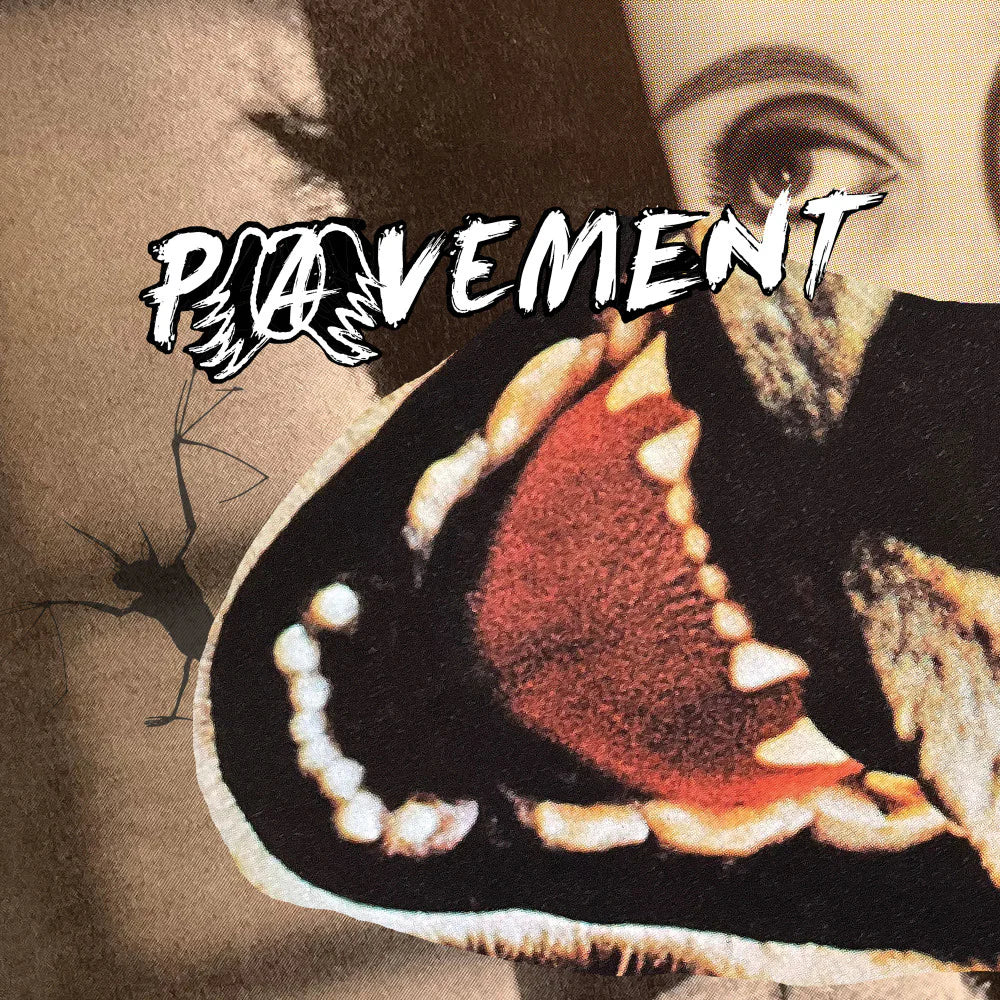Pavement - Heckler's Choice: Big Gums & Heavy Lifters, A Pavement Collection (CD)