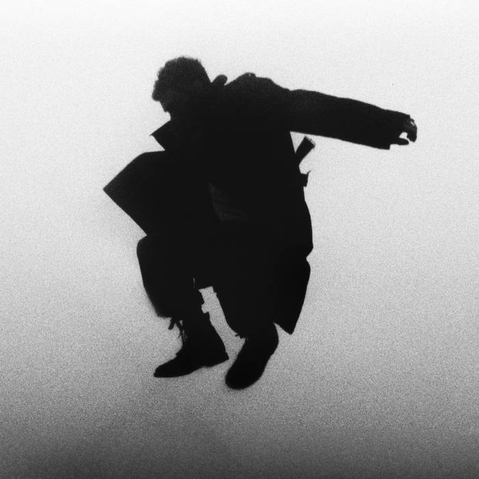 Del Water Gap - Chasing The Chimera (Clear Vinyl)