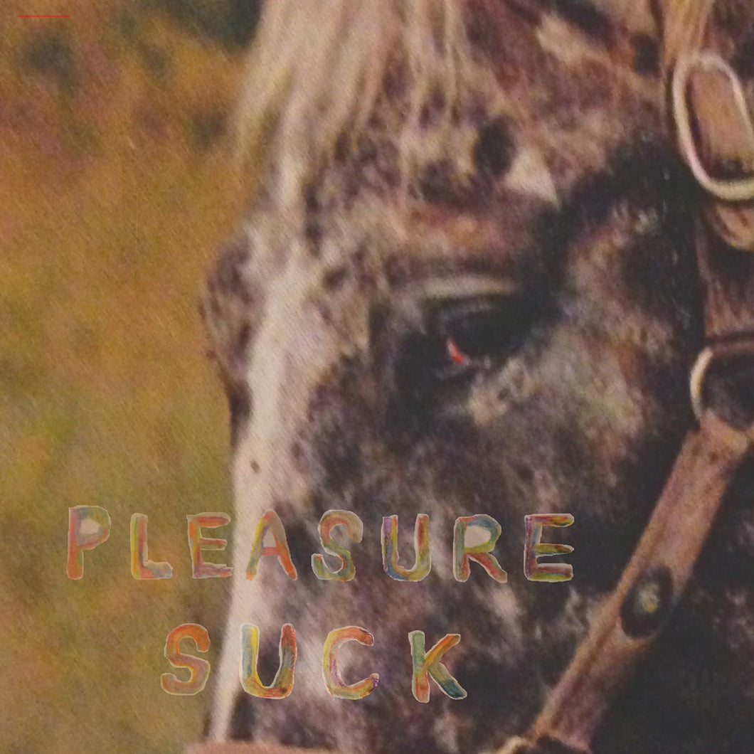 Spirit Of The Beehive - Pleasure Suck (Transparent Orange Vinyl)