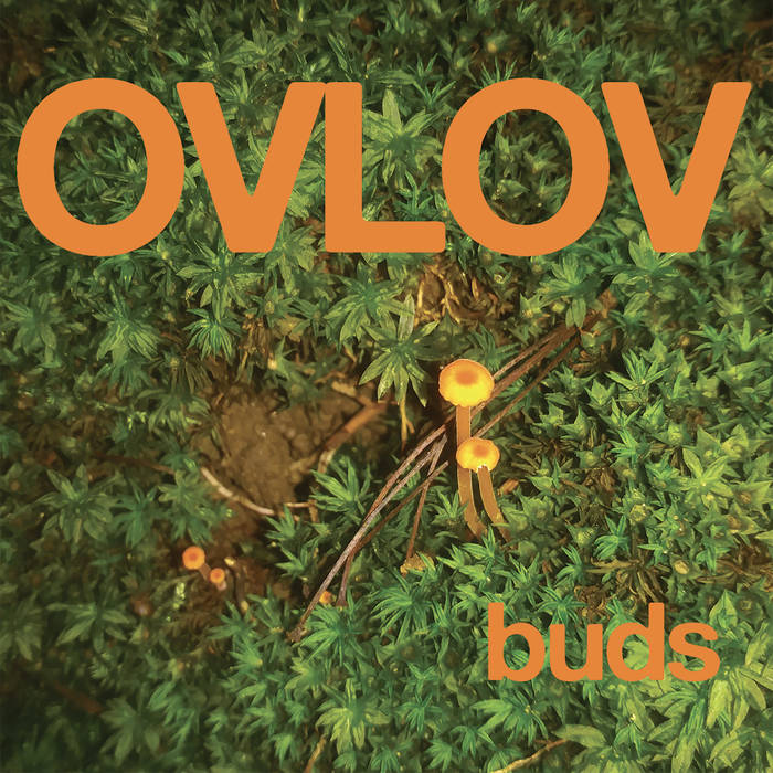 Ovlov - Buds (Indie Exclusive Color)