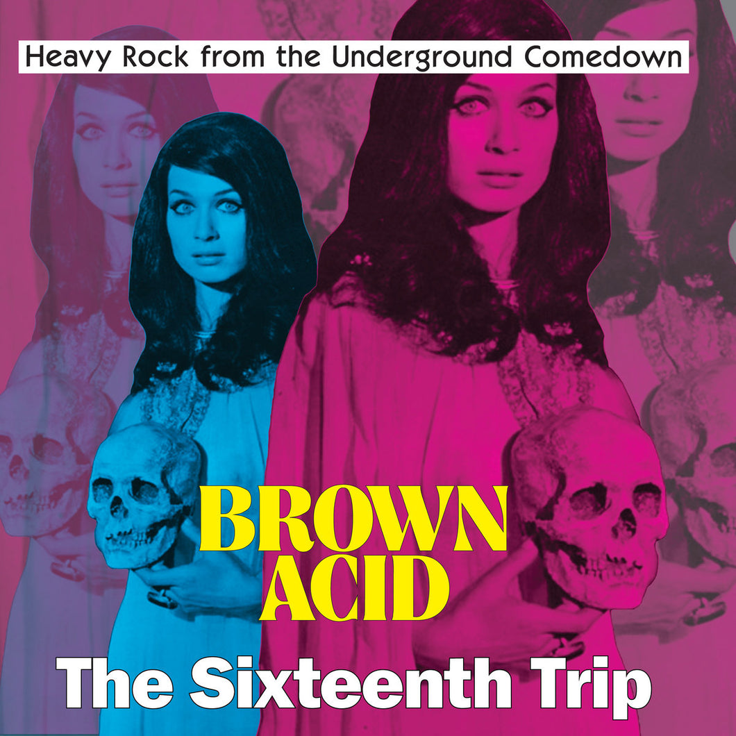 Various Artists - Brown Acid: The Sixteenth Trip