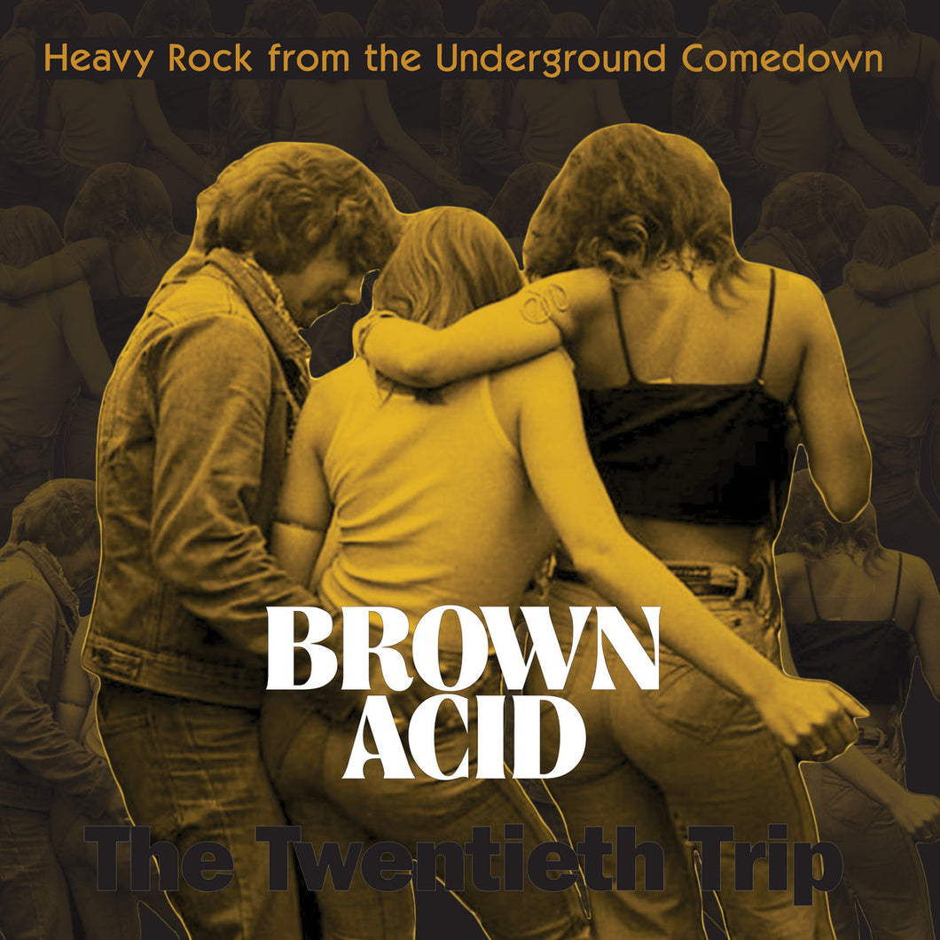Various Artists - Brown Acid: The Twentieth Trip