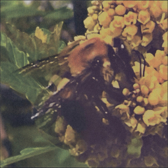 Broncho - Natural Pleasure (Translucent Green Vinyl)
