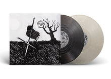 Load image into Gallery viewer, Drive-By Truckers - American Band (&quot;Shadow Wave &amp; Frosted Silver&quot; Vinyl Deluxe Edition)
