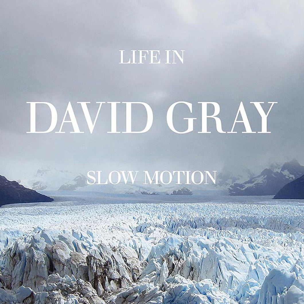 David Gray - Life In Slow Motion (20th Anniversary Glacial Blue Vinyl Edition)