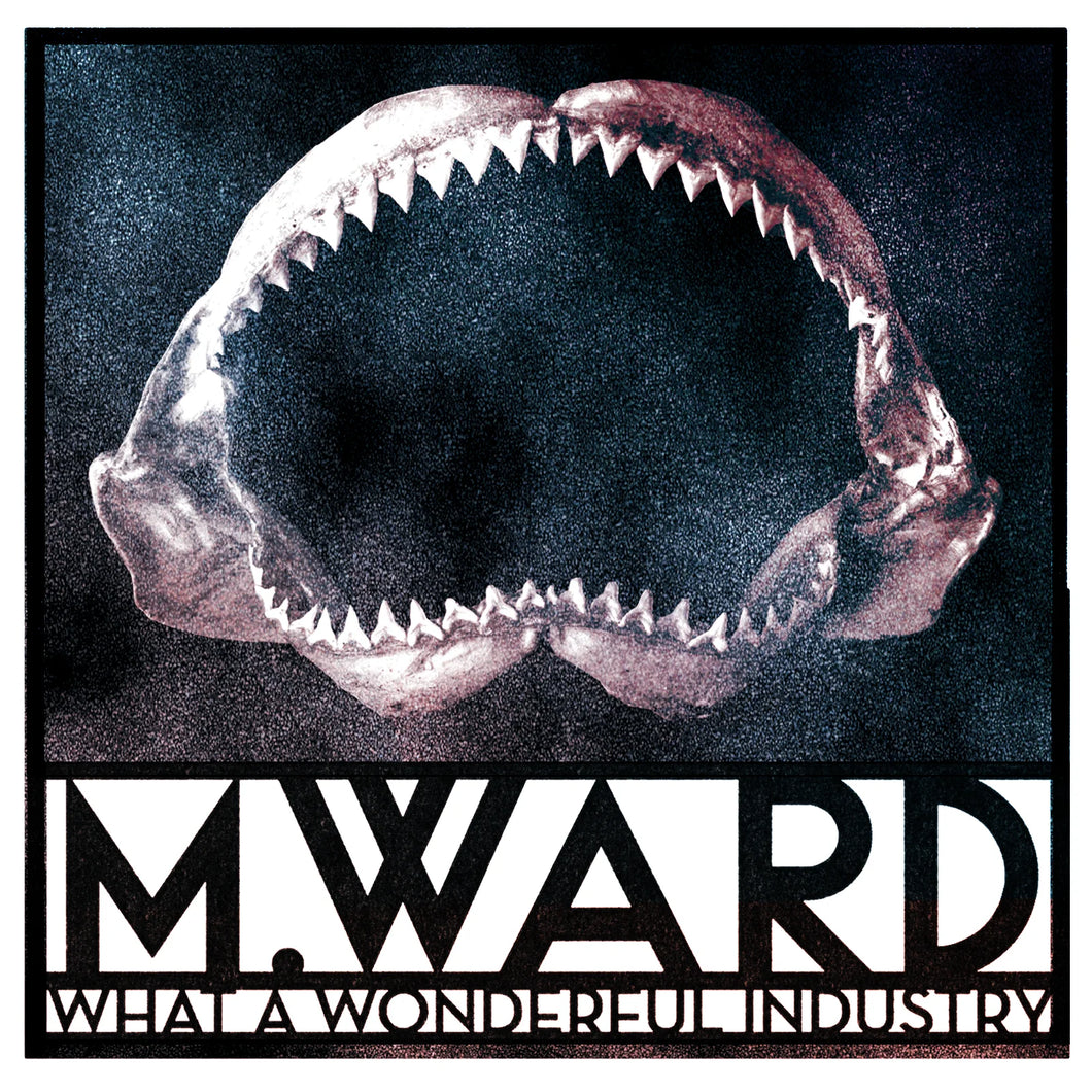 M. Ward - What A Wonderful Industry