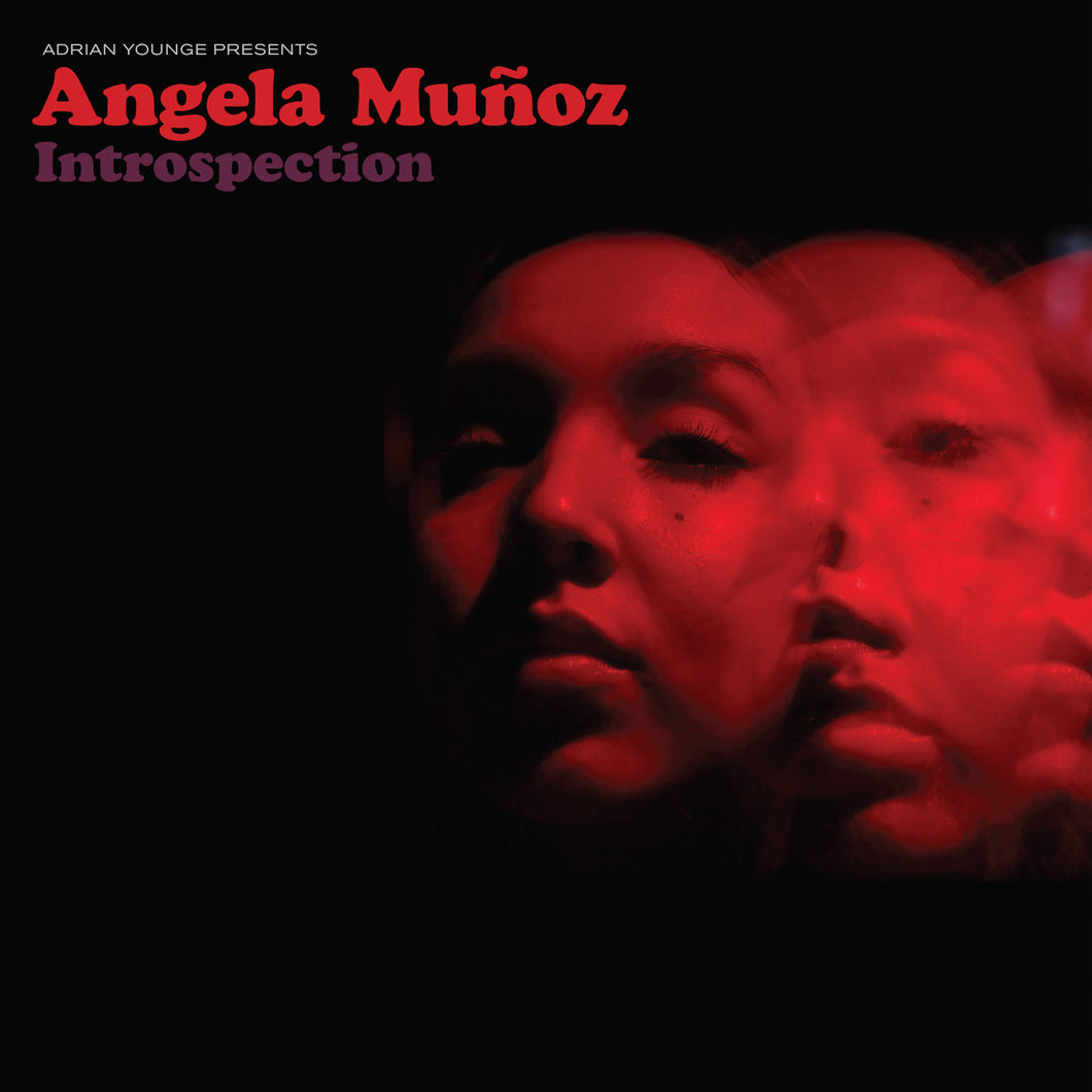 Adrian Younge & Angela Munoz - Adrian Younge Presents: Angela Munoz