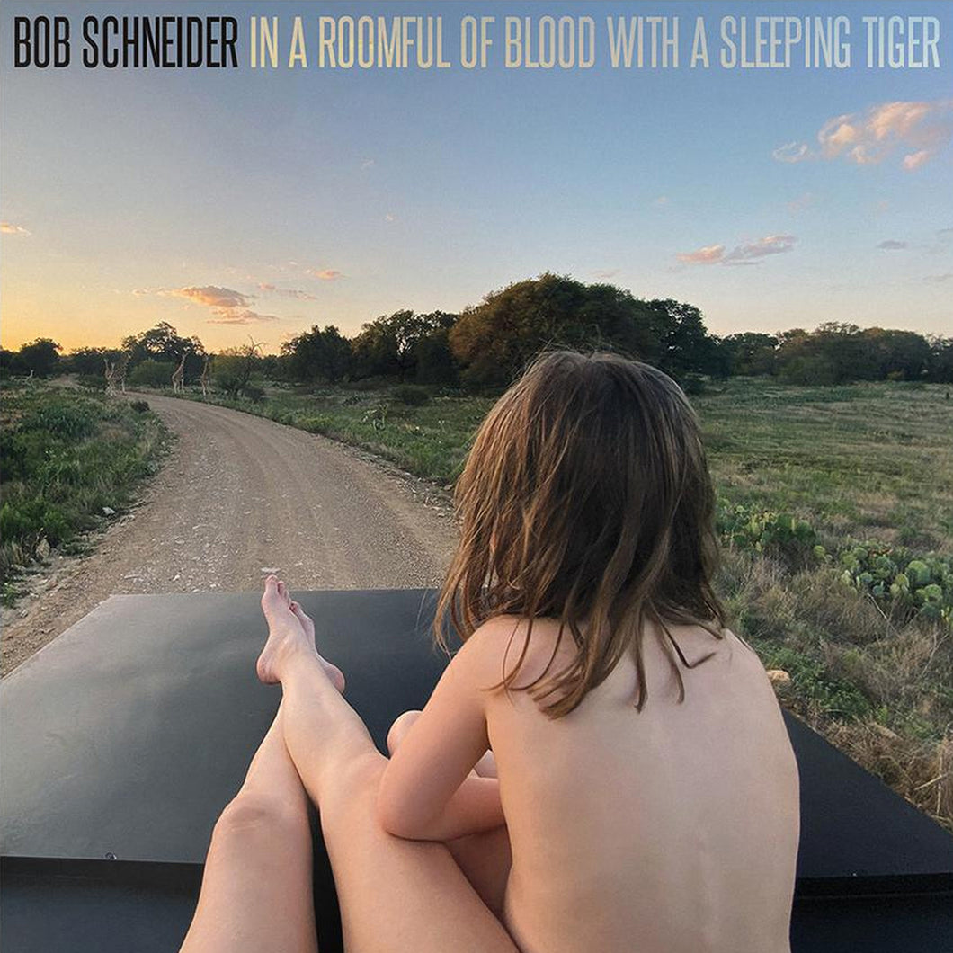 Bob Schneider - In A Roomful Of Blood With A Sleeping Tiger