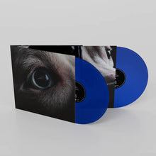 Load image into Gallery viewer, Roger Waters - The Dark Side Of The Moon Redux (Blue Vinyl)
