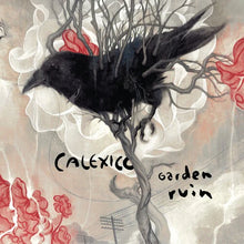 Load image into Gallery viewer, Calexico - Garden Ruin (Silver &amp; White Vinyl)

