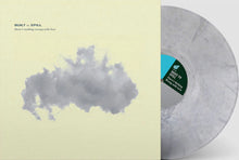 Load image into Gallery viewer, Built To Spill - There&#39;s Nothing Wrong With Love (RSD Essentials / Silver Marble Vinyl)
