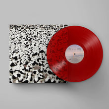 Load image into Gallery viewer, Stella Donnelly - Flood (Opaque Red Vinyl)
