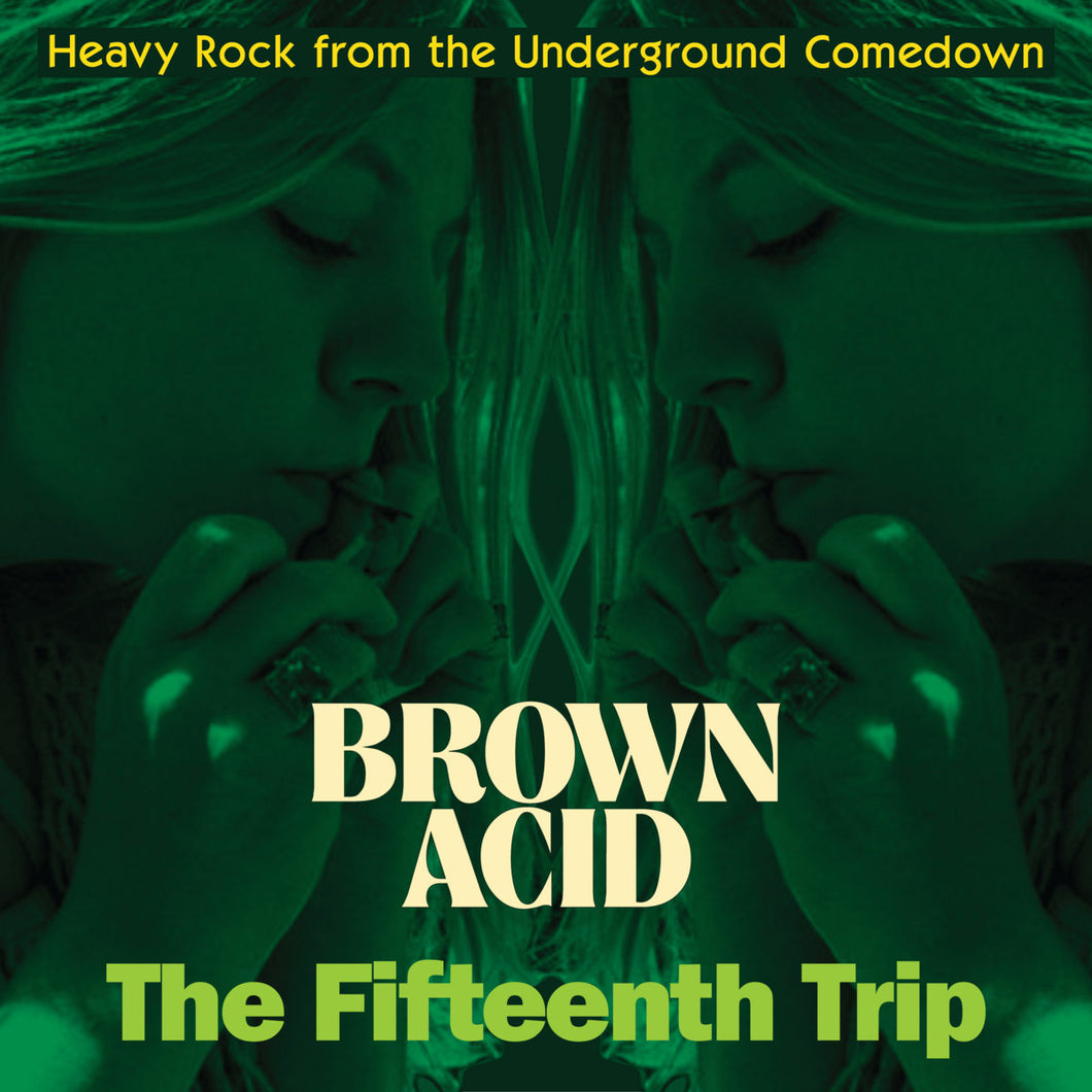 Various Artists - Brown Acid: The Fifteenth Trip