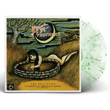 Load image into Gallery viewer, Drive-By Truckers - The Fine Print (A Collection Of Oddities And Rarities) 2003-2008 (2 LP / Clear &amp; Green Marble Vinyl)
